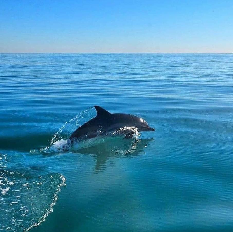 Спиро Gagra Bagian luar foto